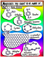 First notable occurance of the 1,2-dimethyl-chickenwire molecule